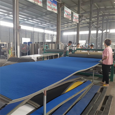 Carpet Cheerleading Mats Roll out cheer 6x42 