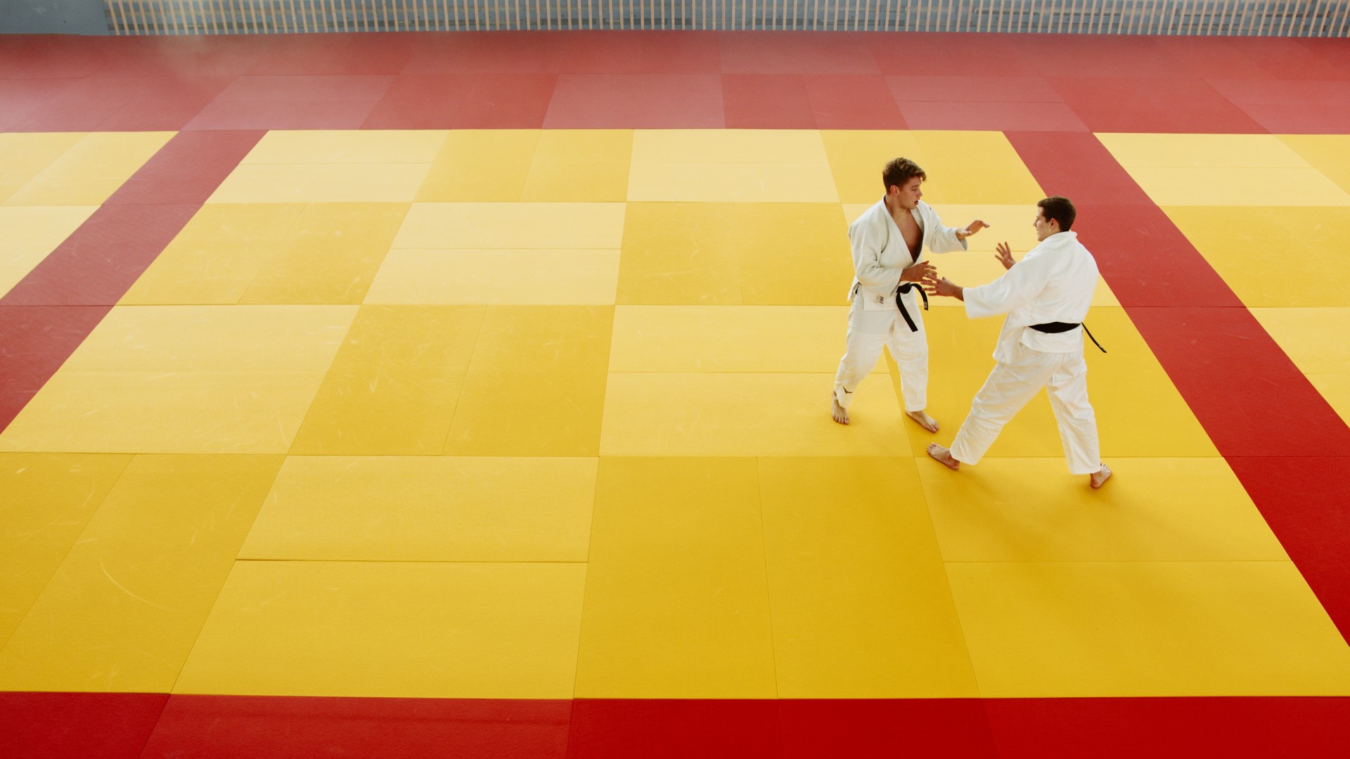Master Your Moves with Premium Judo Tatami Mats