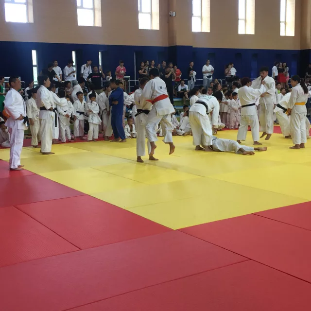 Judo tatami mats Judo tatami mats